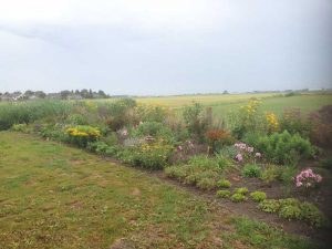 Hovenier Heerhugowaard - resultaat aanleg beplantingsborder - Buisman Hovenier